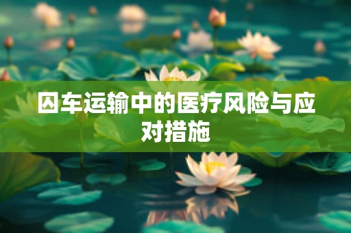 囚车运输中的医疗风险与应对措施