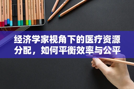 经济学家视角下的医疗资源分配，如何平衡效率与公平？