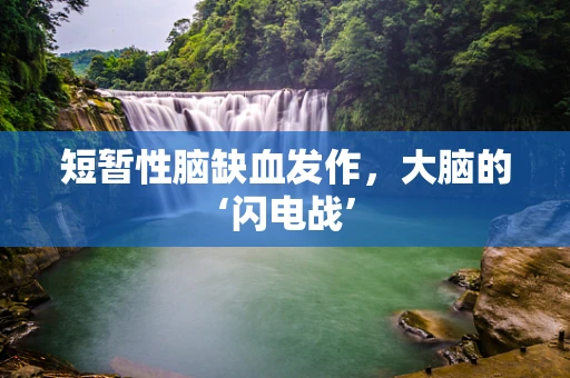 短暂性脑缺血发作，大脑的‘闪电战’