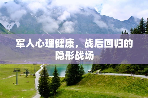 军人心理健康，战后回归的隐形战场