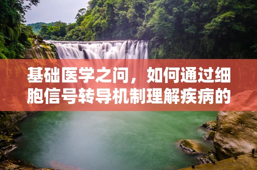基础医学之问，如何通过细胞信号转导机制理解疾病的发生？