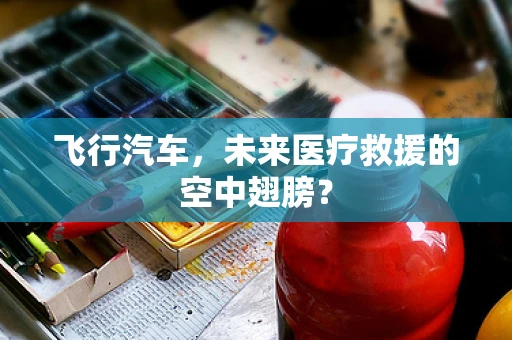 飞行汽车，未来医疗救援的空中翅膀？