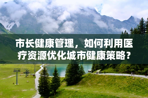 市长健康管理，如何利用医疗资源优化城市健康策略？