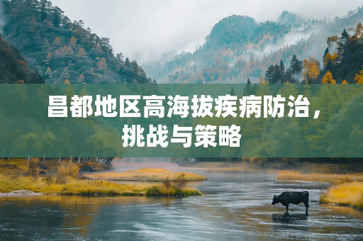 昌都地区高海拔疾病防治，挑战与策略
