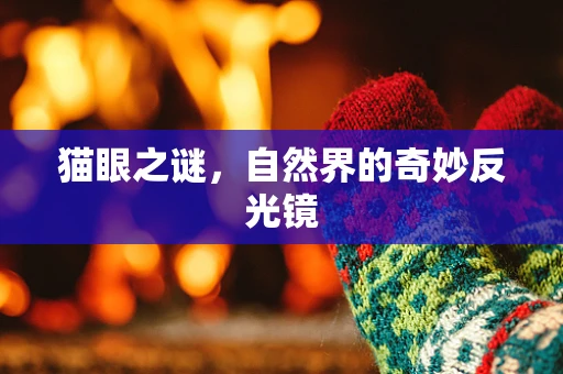 猫眼之谜，自然界的奇妙反光镜