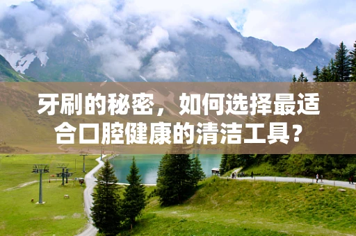 牙刷的秘密，如何选择最适合口腔健康的清洁工具？