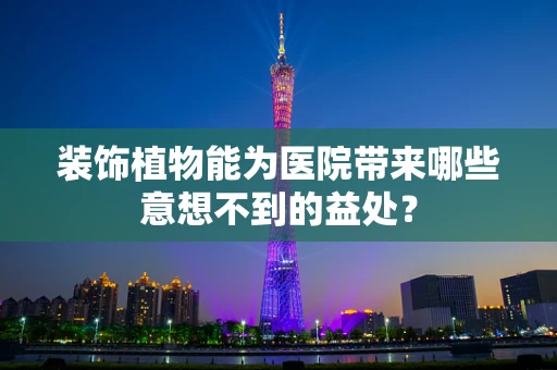 装饰植物能为医院带来哪些意想不到的益处？