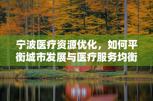 宁波医疗资源优化，如何平衡城市发展与医疗服务均衡？