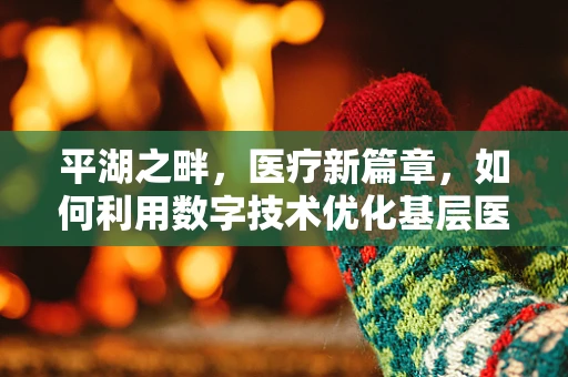 平湖之畔，医疗新篇章，如何利用数字技术优化基层医疗资源分配？