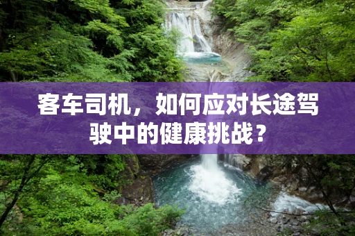 客车司机，如何应对长途驾驶中的健康挑战？