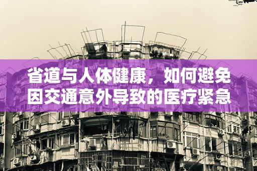 省道与人体健康，如何避免因交通意外导致的医疗紧急情况？