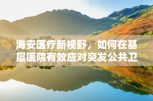 海安医疗新视野，如何在基层医院有效应对突发公共卫生事件？