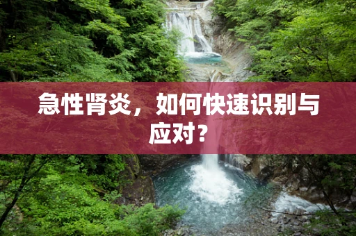 急性肾炎，如何快速识别与应对？