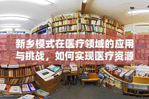 新乡模式在医疗领域的应用与挑战，如何实现医疗资源均衡分配？