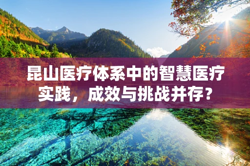 昆山医疗体系中的智慧医疗实践，成效与挑战并存？