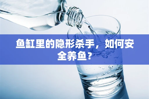 鱼缸里的隐形杀手，如何安全养鱼？