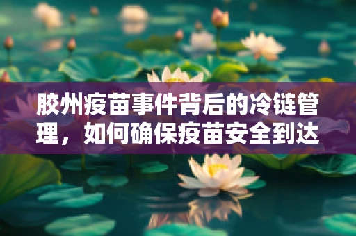 胶州疫苗事件背后的冷链管理，如何确保疫苗安全到达每一针？