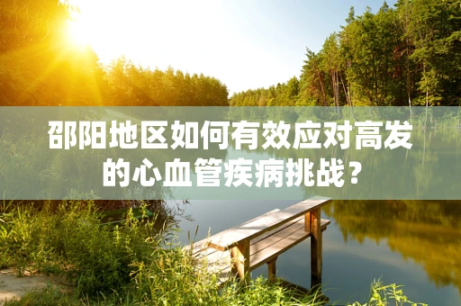 邵阳地区如何有效应对高发的心血管疾病挑战？
