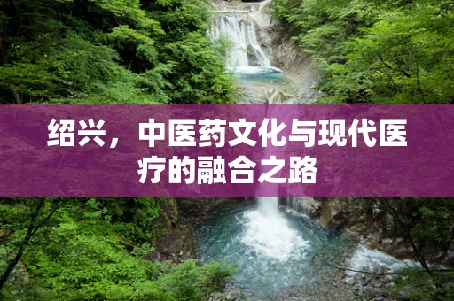 绍兴，中医药文化与现代医疗的融合之路