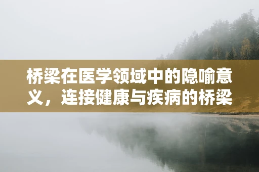 桥梁在医学领域中的隐喻意义，连接健康与疾病的桥梁