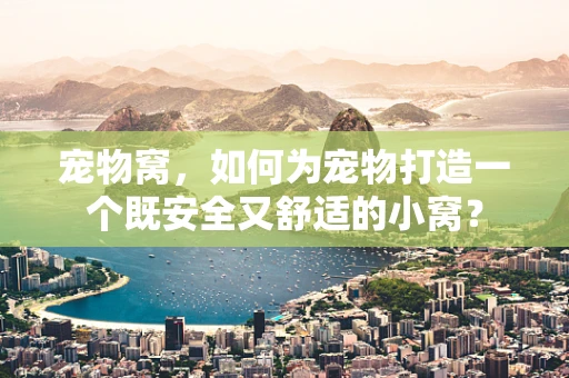 宠物窝，如何为宠物打造一个既安全又舒适的小窝？
