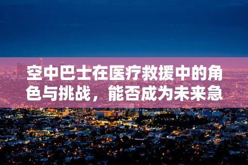 空中巴士在医疗救援中的角色与挑战，能否成为未来急救的空中翅膀？
