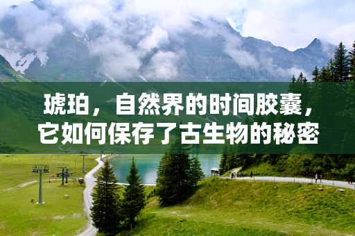 琥珀，自然界的时间胶囊，它如何保存了古生物的秘密？