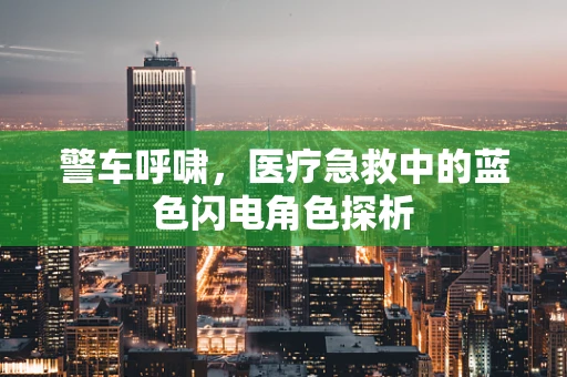 警车呼啸，医疗急救中的蓝色闪电角色探析