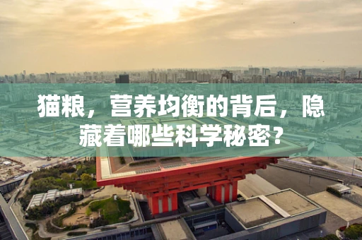猫粮，营养均衡的背后，隐藏着哪些科学秘密？