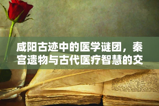 咸阳古迹中的医学谜团，秦宫遗物与古代医疗智慧的交织