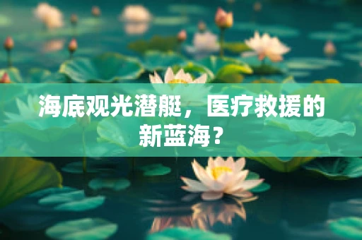 海底观光潜艇，医疗救援的新蓝海？