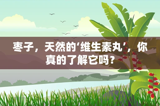 枣子，天然的‘维生素丸’，你真的了解它吗？