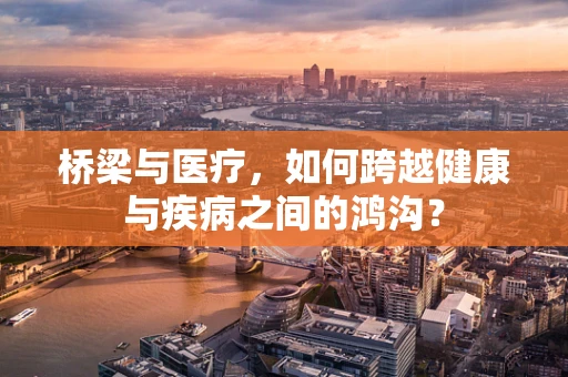 桥梁与医疗，如何跨越健康与疾病之间的鸿沟？
