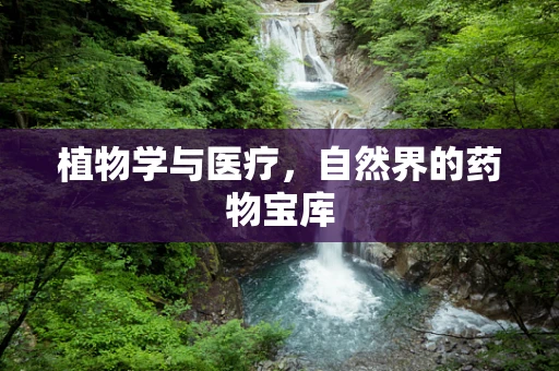 植物学与医疗，自然界的药物宝库