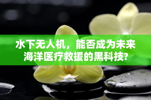 水下无人机，能否成为未来海洋医疗救援的黑科技?