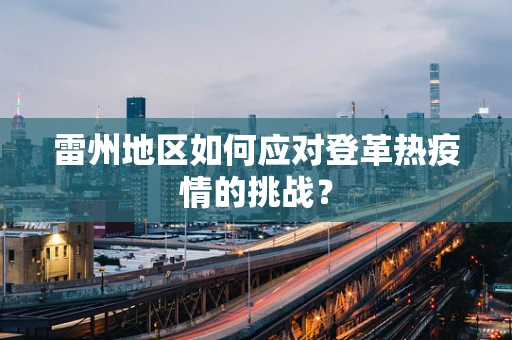 雷州地区如何应对登革热疫情的挑战？