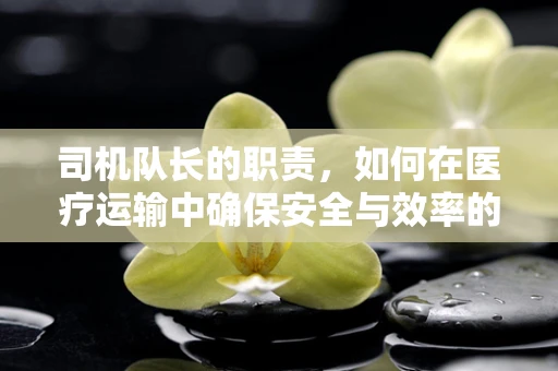 司机队长的职责，如何在医疗运输中确保安全与效率的双重保障？