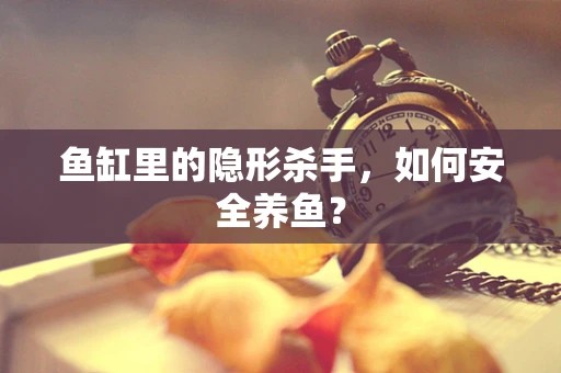 鱼缸里的隐形杀手，如何安全养鱼？