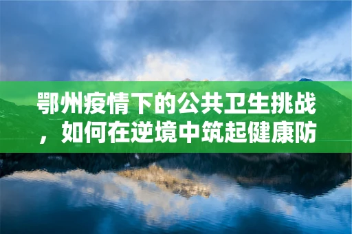 鄂州疫情下的公共卫生挑战，如何在逆境中筑起健康防线？