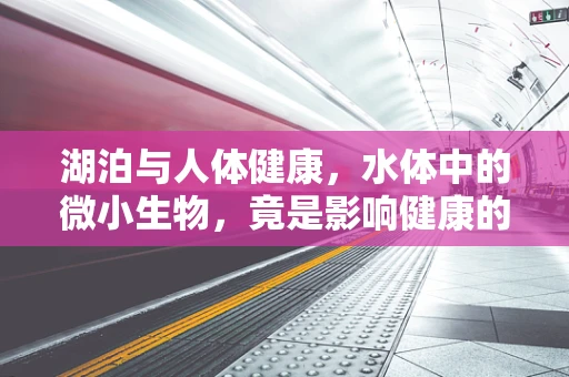 湖泊与人体健康，水体中的微小生物，竟是影响健康的隐形因素？