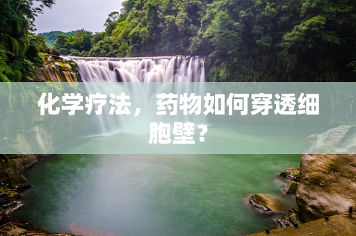 化学疗法，药物如何穿透细胞壁？