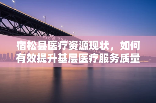 宿松县医疗资源现状，如何有效提升基层医疗服务质量？