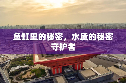 鱼缸里的秘密，水质的秘密守护者