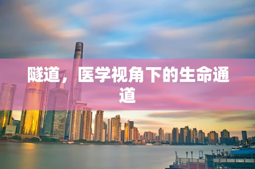 隧道，医学视角下的生命通道