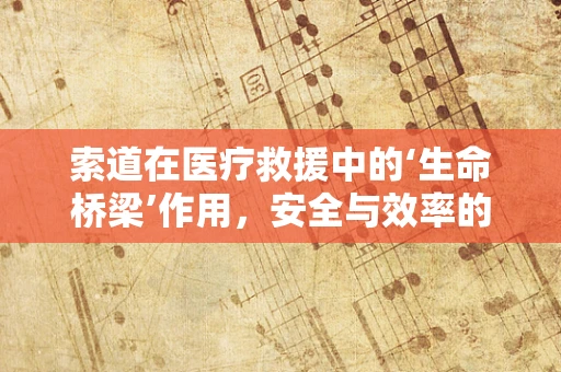 索道在医疗救援中的‘生命桥梁’作用，安全与效率的双重考量