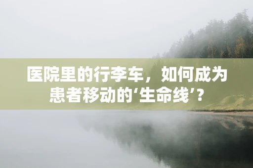 医院里的行李车，如何成为患者移动的‘生命线’？