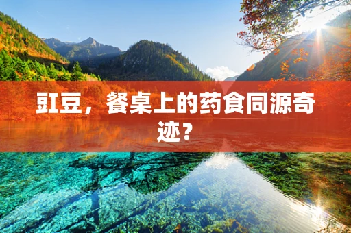 豇豆，餐桌上的药食同源奇迹？