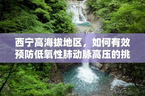 西宁高海拔地区，如何有效预防低氧性肺动脉高压的挑战？