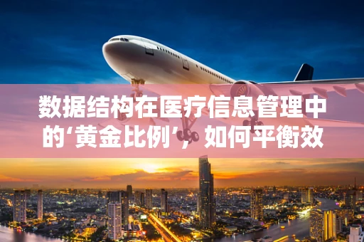 数据结构在医疗信息管理中的‘黄金比例’，如何平衡效率与隐私？