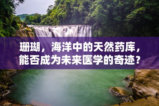 珊瑚，海洋中的天然药库，能否成为未来医学的奇迹？